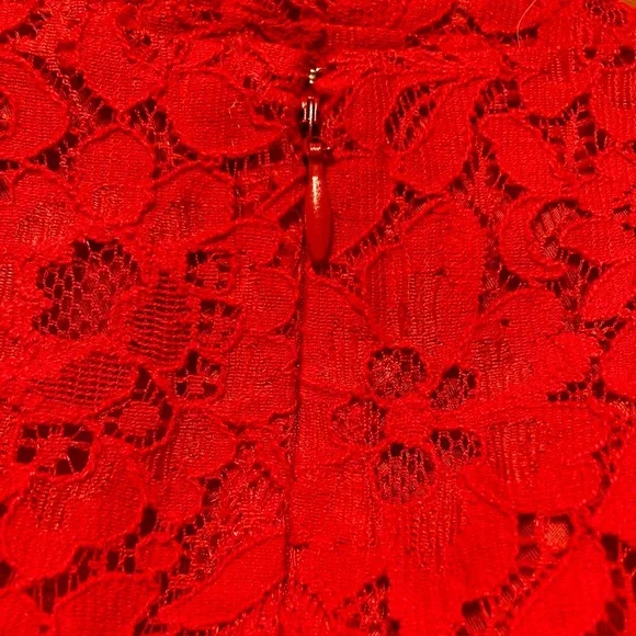 J. Crew Red Lace Holiday Dress - Picture 7 of 9